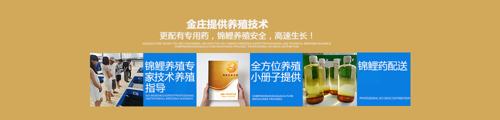 金莊提供專業養殖技術