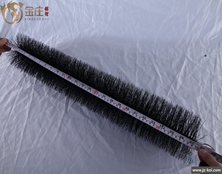 普濾仕70CM錦鯉魚池過濾毛刷