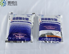 水産養殖水處理硝化細菌