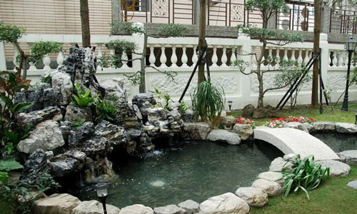 金莊錦鯉很漂亮