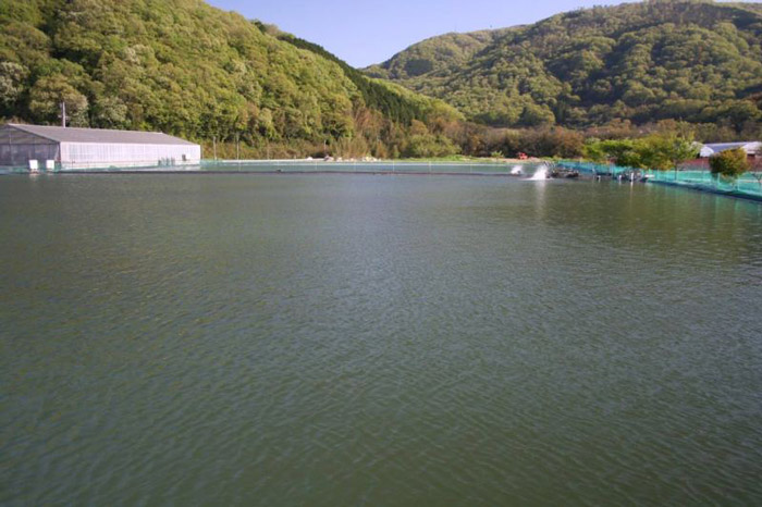 桃太郎漁場全景