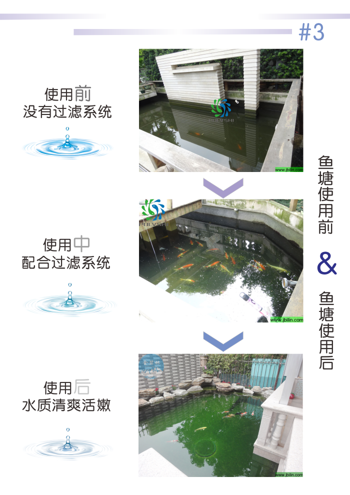 金莊錦鯉魚池專用超級細菌(淨水菌) 金莊錦鯉魚池專用超級細菌(淨水菌)