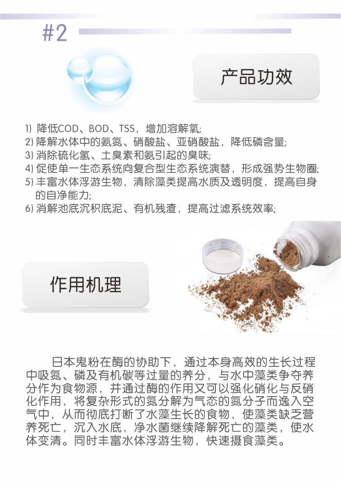 河道污水生化處理污水處理菌種——日本鬼粉清污污水處理系列