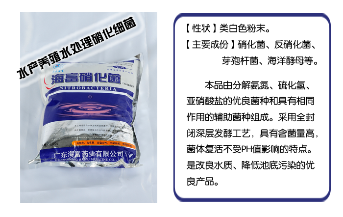 水産養殖水處理硝化細菌