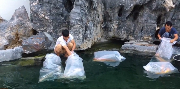 金莊教你新魚到家操作指引 金莊教你新魚到家操作指引