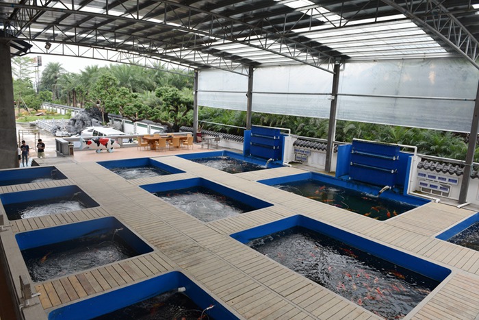 金莊感恩季感激，身旁有你！金莊歡迎您