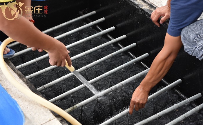 清洗過濾 清洗過濾