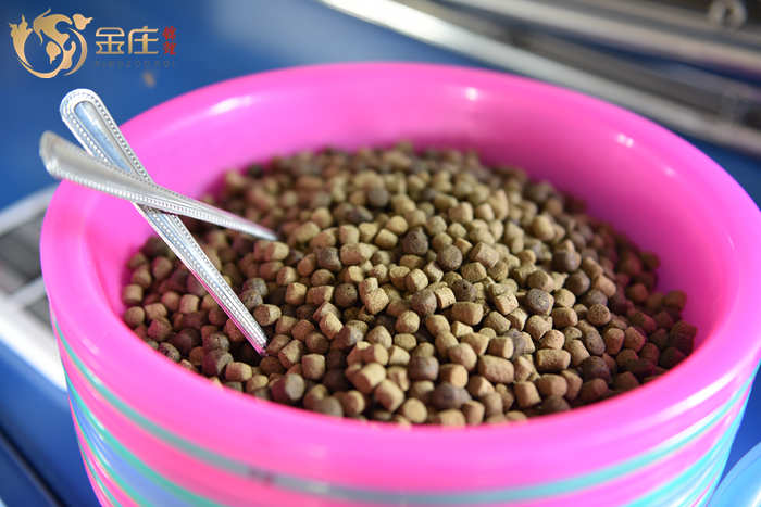 金莊日本桃太郎錦鯉的營養食物 金莊日本桃太郎錦鯉的營養食物