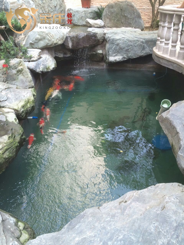 清遠曾生家的魚池