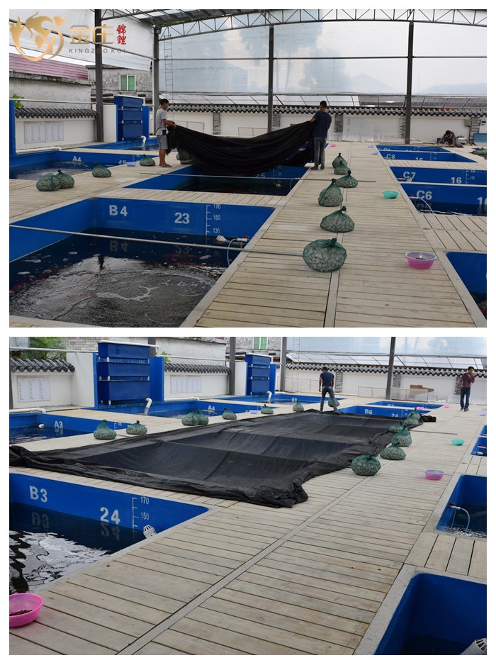 覆蓋池塘 覆蓋池塘