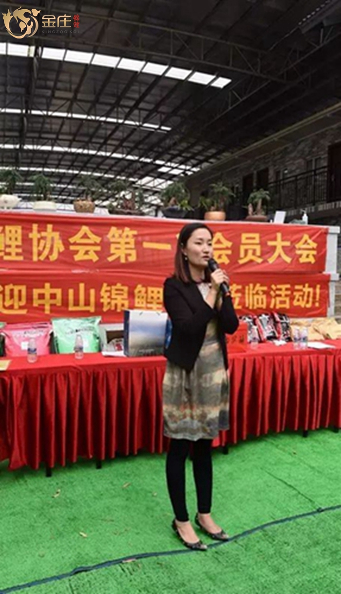 金莊錦鯉銷售會活動 金莊錦鯉銷售會活動