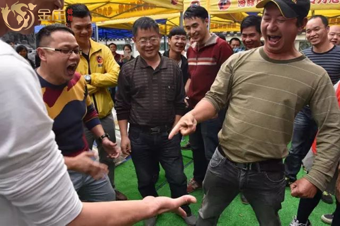 金莊錦鯉銷售會活動 金莊錦鯉銷售會活動