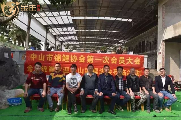 金莊錦鯉銷售會活動 金莊錦鯉銷售會活動