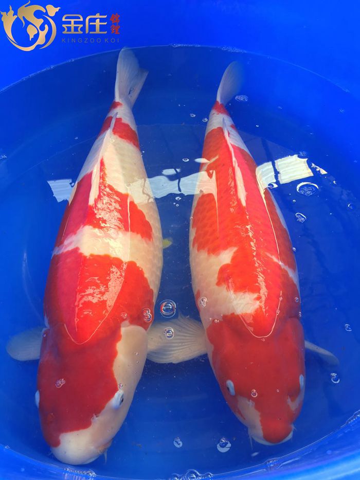 164596361504213048.jpg 164596361504213048.jpg