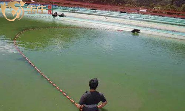 920085375202613120.jpg 920085375202613120.jpg