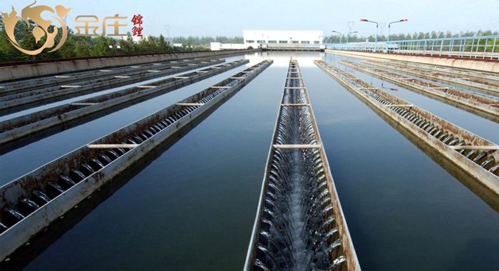 201410171413526595078.jpg 201410171413526595078.jpg