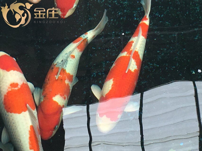 QQ圖片20160713143731.jpg QQ圖片20160713143731.jpg