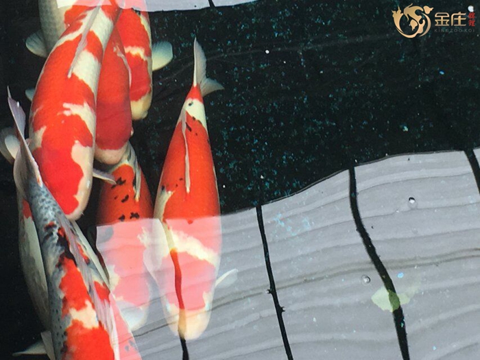 QQ圖片20160713143747.jpg QQ圖片20160713143747.jpg