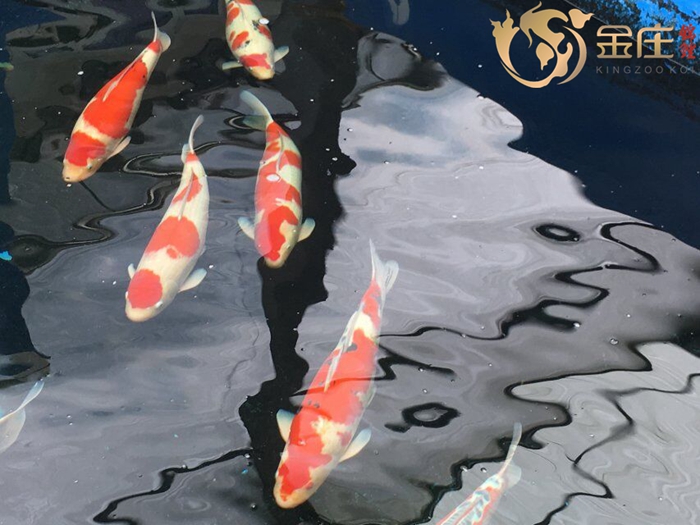 QQ圖片20160713143756.jpg QQ圖片20160713143756.jpg