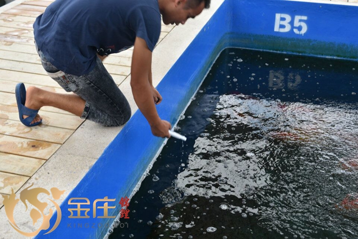 QQ圖片20160630151621.jpg QQ圖片20160630151621.jpg